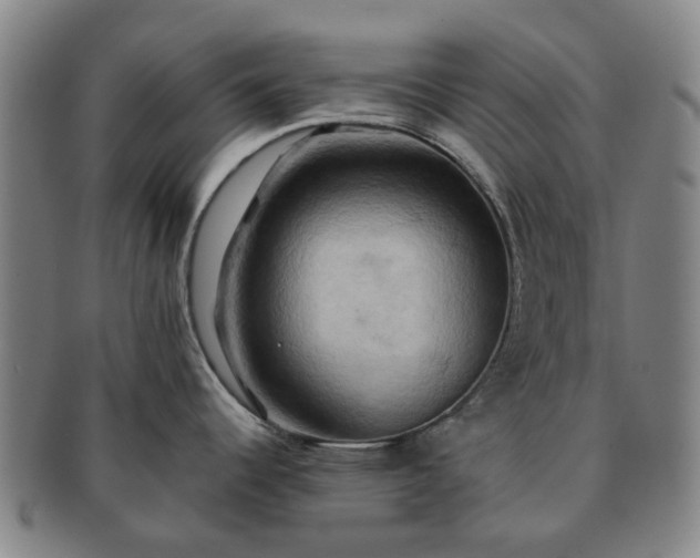 X0000091581344200708271212