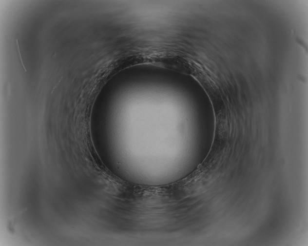 X0000091581345200708271211