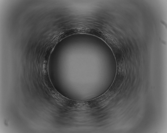 X0000091581346200708271211