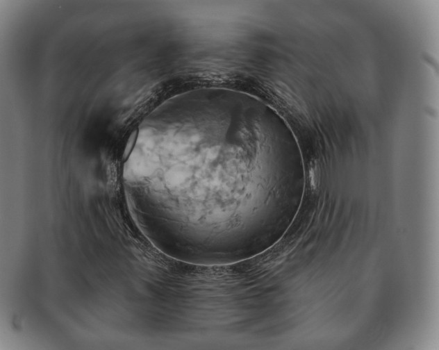 X0000091581347200708271211