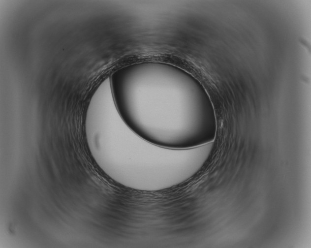 X0000091581348200708271211