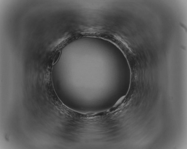 X0000091581350200708271211