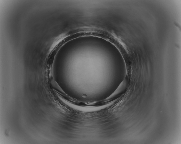 X0000091581352200708271211