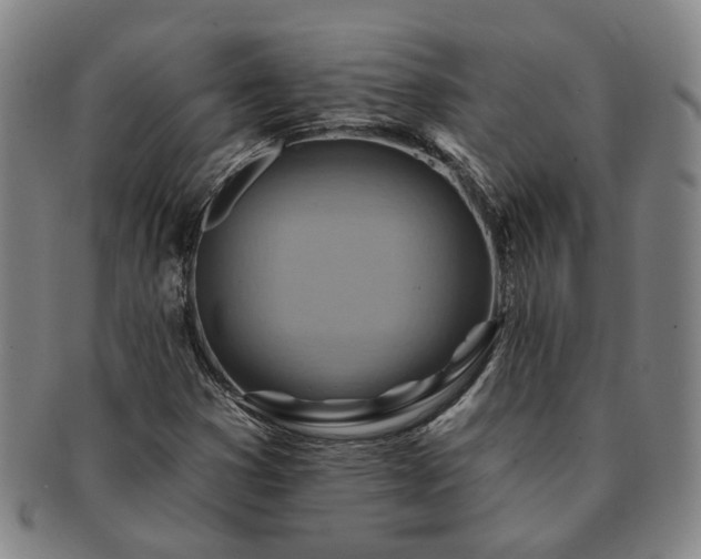 X0000091581353200708271211