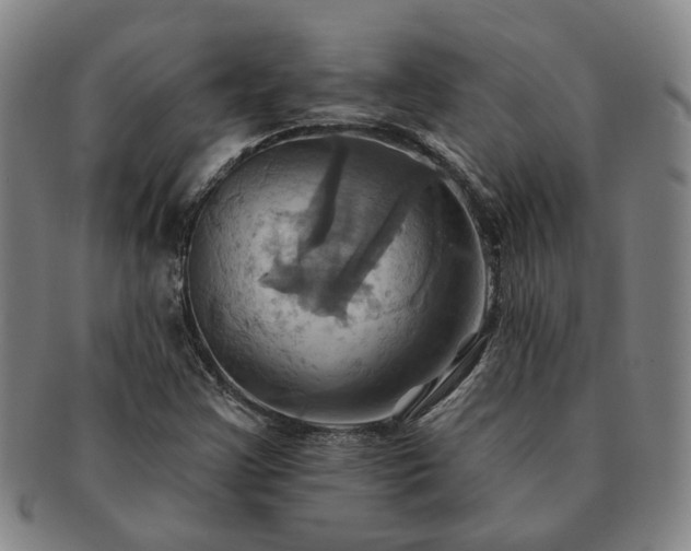 X0000091581355200708271211
