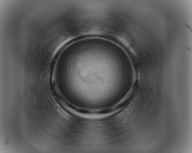 X0000091581356200708271211