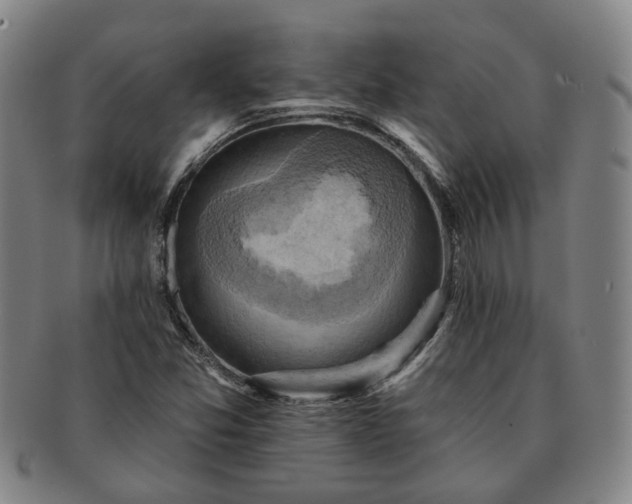 X0000091581357200708271211