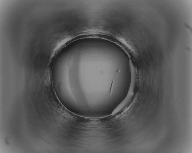 X0000091581358200708271211