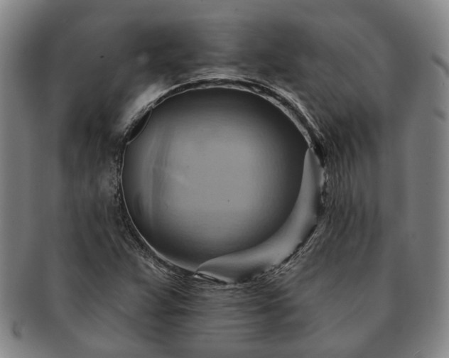 X0000091581359200708271211