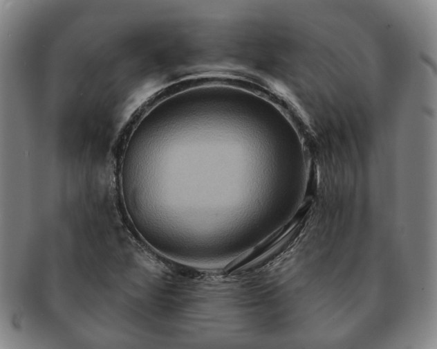 X0000091581360200708271211