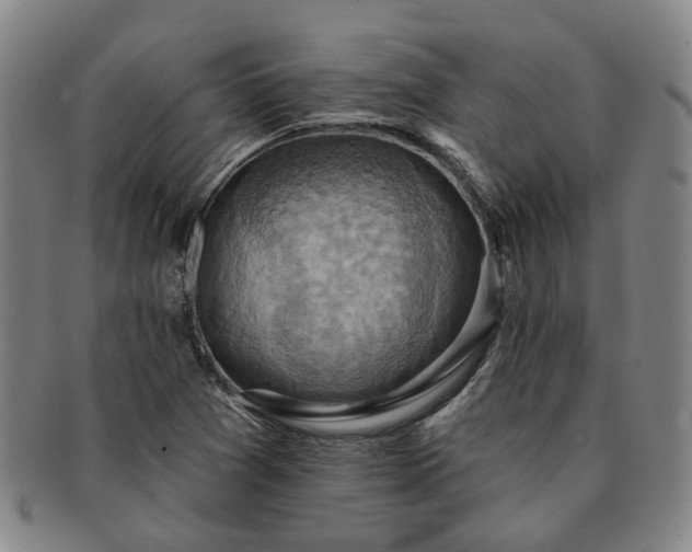 X0000091581361200708271211