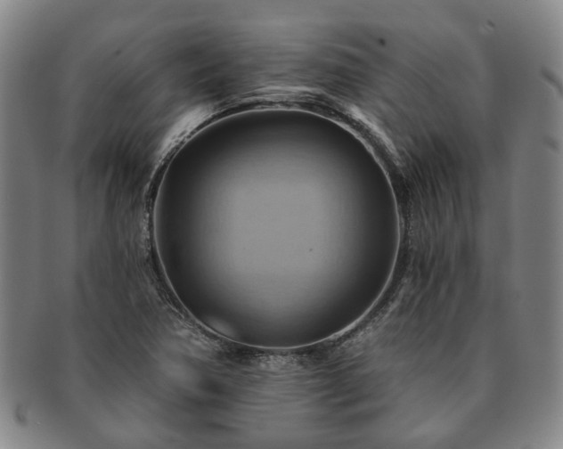 X0000091581362200708271211