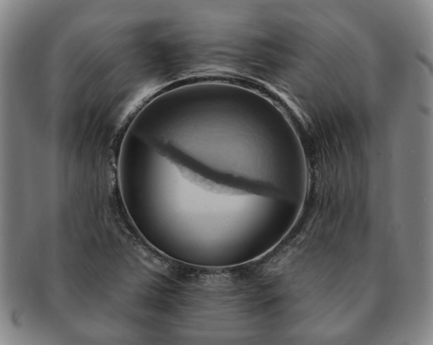 X0000091581363200708271211