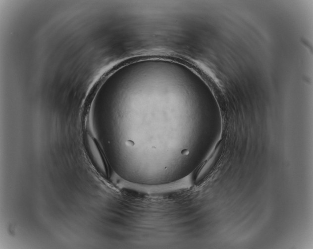 X0000091581364200708271211