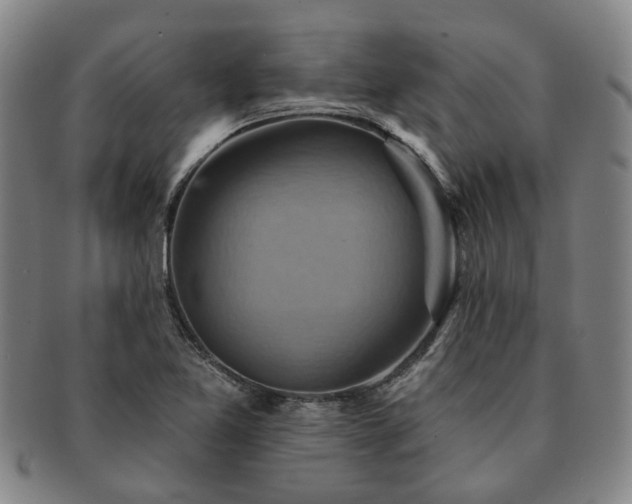 X0000091581365200708271211