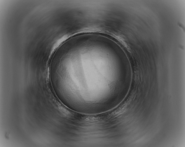 X0000091581366200708271211