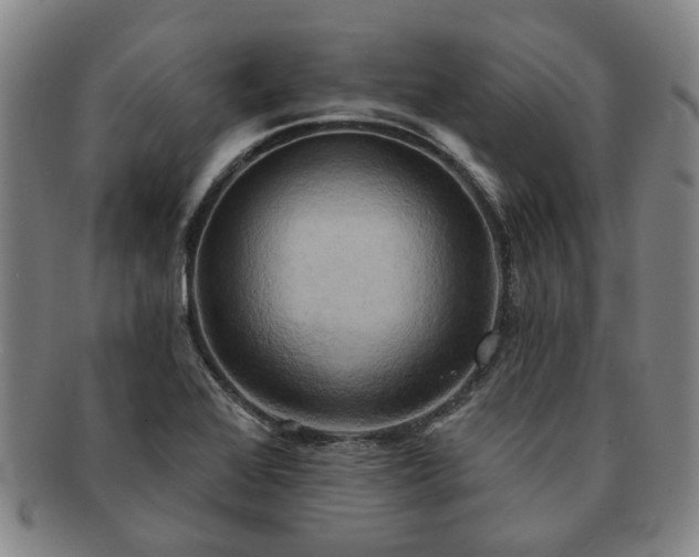 X0000091581368200708271211