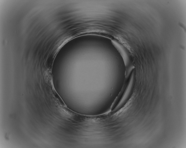 X0000091581369200708271211