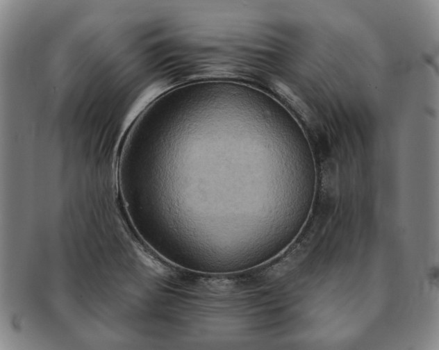 X0000091581370200708271211