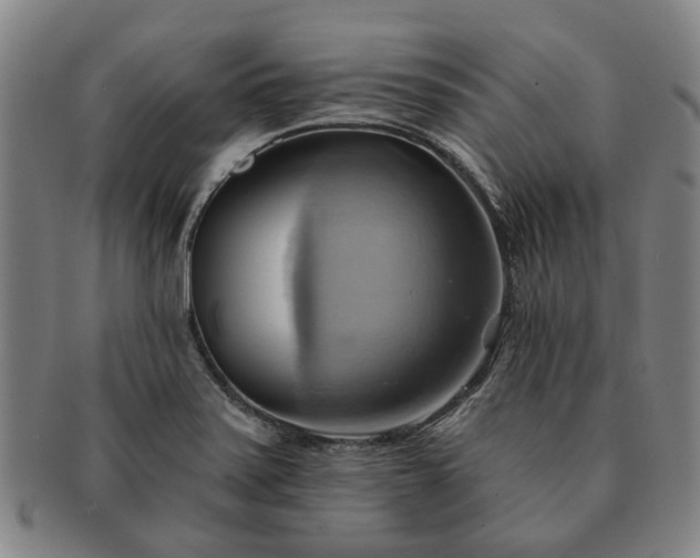 X0000091581371200708271211