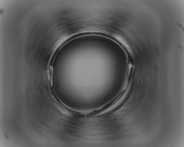 X0000091581372200708271211
