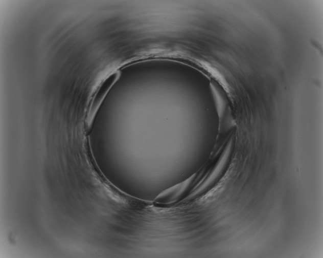 X0000091581373200708271211