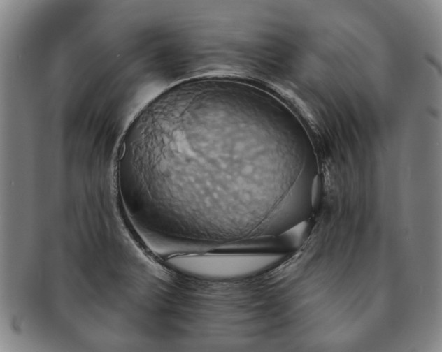X0000091581375200708271211