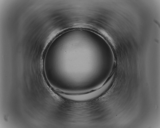 X0000091581376200708271211