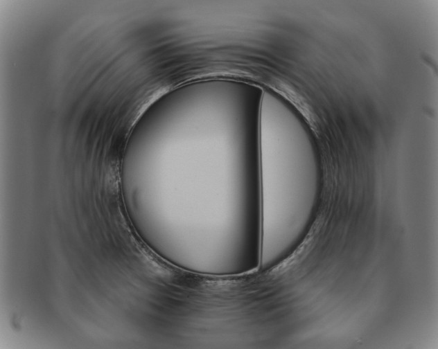 X0000091581377200708271211