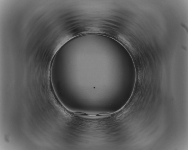 X0000091581378200708271211