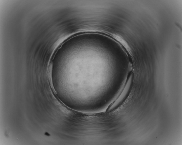 X0000091581380200708271211
