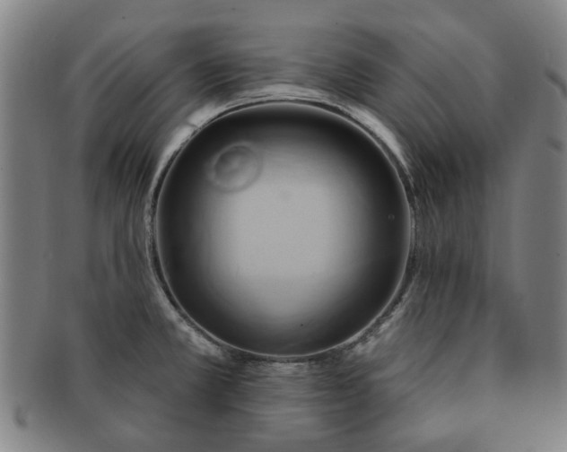 X0000091581381200708271211