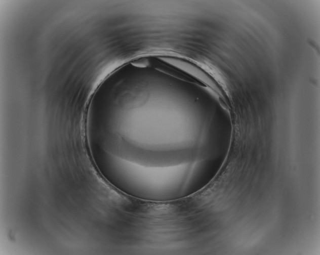 X0000091581382200708271211