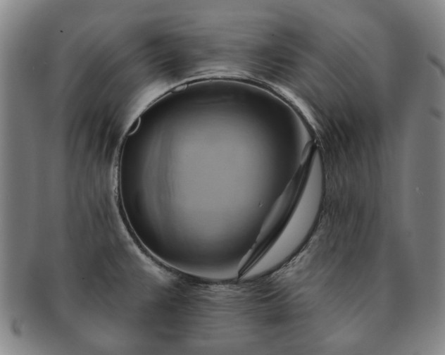 X0000091581383200708271211