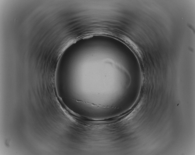 X0000091581385200708271211