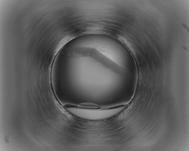 X0000091581386200708271211