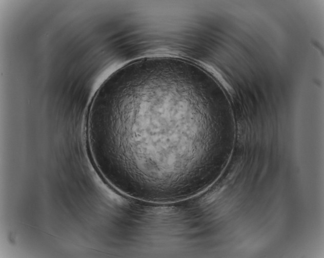 X0000091581387200708271211
