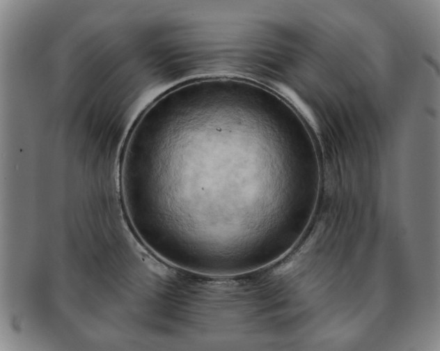 X0000091581388200708271211
