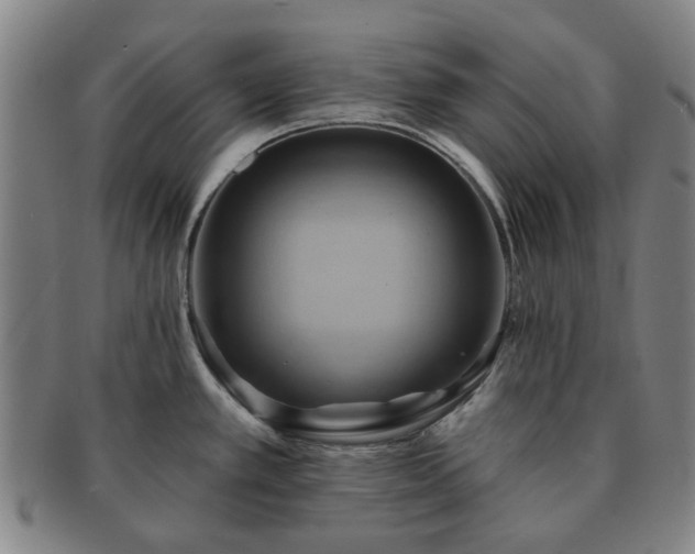 X0000091581389200708271211