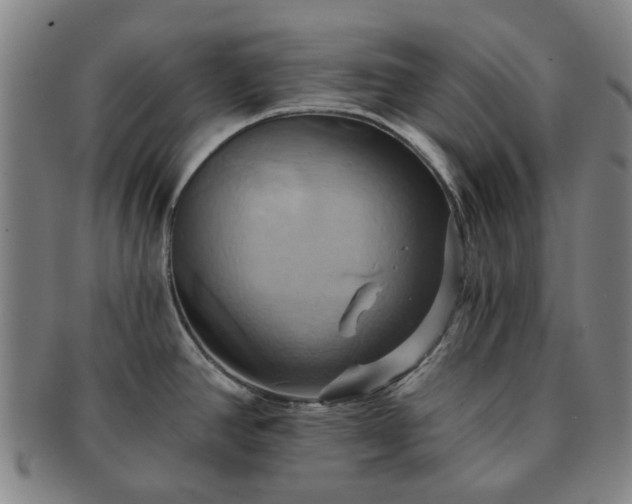 X0000091581390200708271211