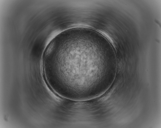 X0000091581391200708271211