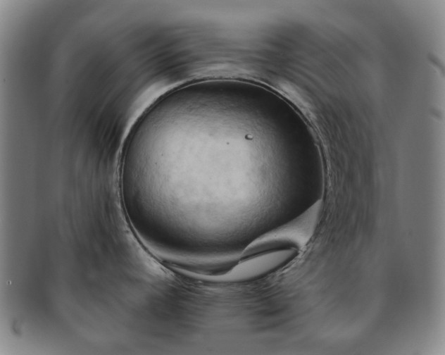 X0000091581392200708271211