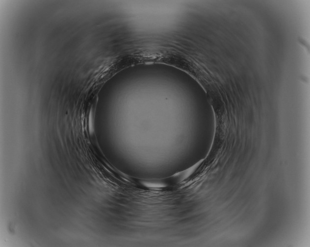 X0000091581394200708271210