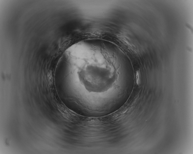 X0000091581395200708271210