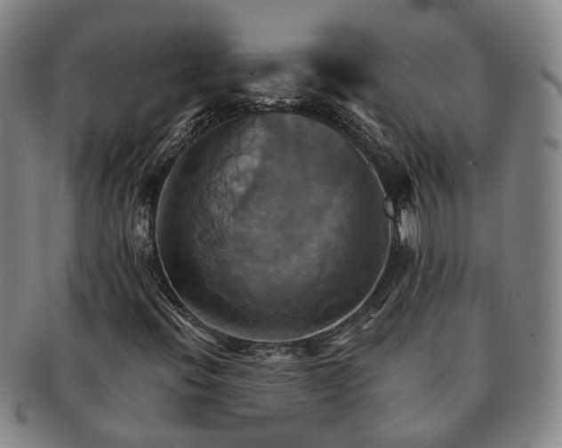 X0000091581396200708271210