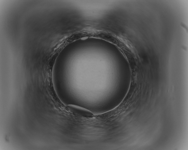 X0000091581397200708271210