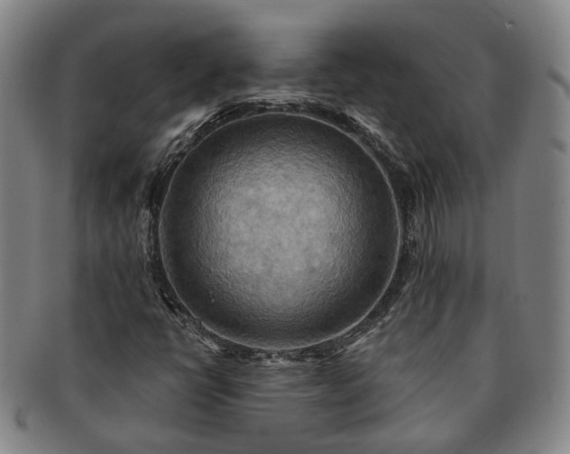 X0000091581398200708271210