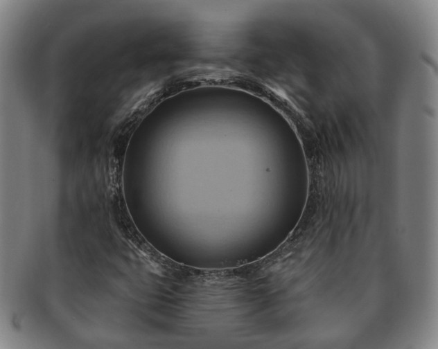 X0000091581399200708271210