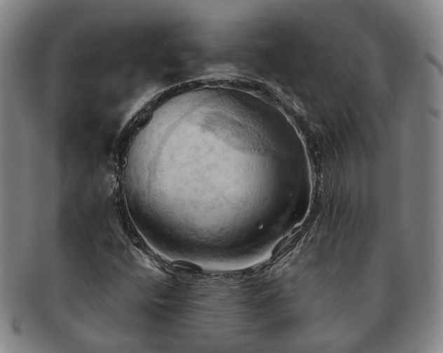 X0000091581400200708271210