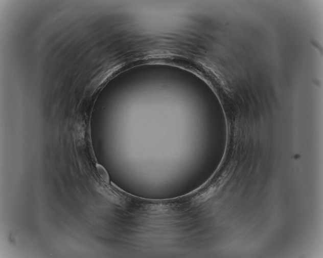 X0000091581401200708271210